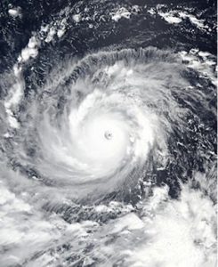 mangkhut typhoon